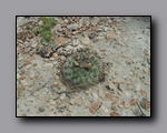 Click to enlarge p1010024.jpg