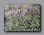 Click to enlarge p1010028.jpg