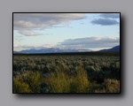 Click to enlarge p1010077.jpg