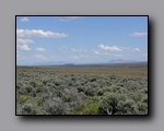 Click to enlarge p1010152.jpg