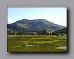 Click to enlarge p1010156.jpg