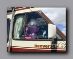 Click to enlarge p1010005.jpg