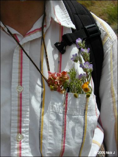 p1010027.jpg