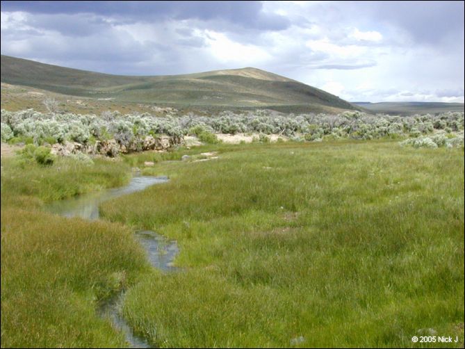 2005-06_dsurv_highrock_24.jpg