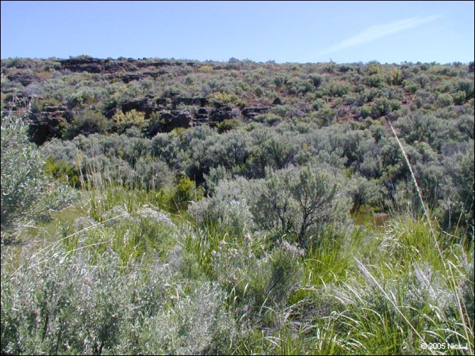 2005-06_dsurv_highrock_34.jpg