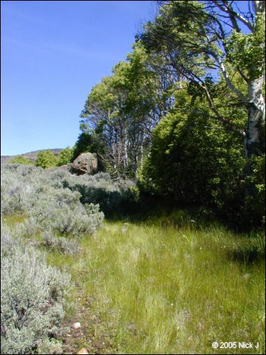 2005-06_dsurv_highrock_36.jpg
