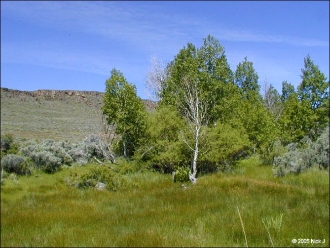2005-06_dsurv_highrock_37.jpg
