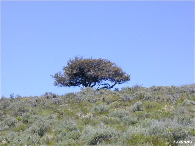 2005-06_dsurv_highrock_38.jpg