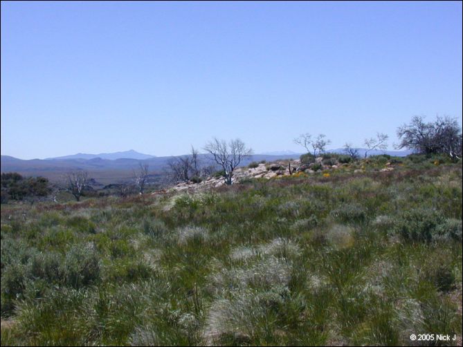 2005-06_dsurv_highrock_39.jpg