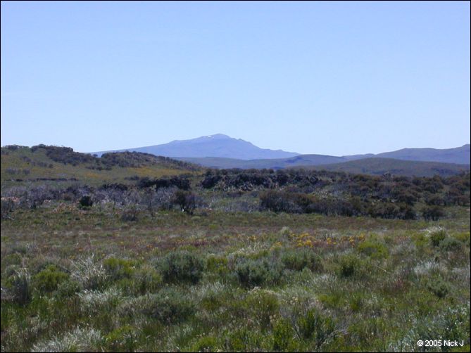 2005-06_dsurv_highrock_40.jpg