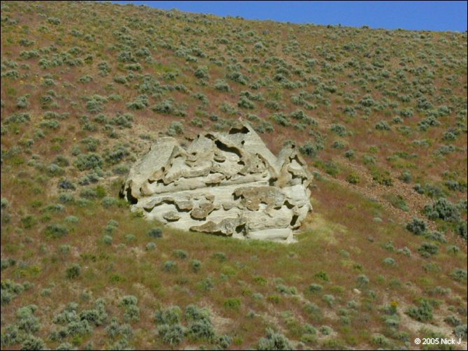 2005-06_dsurv_highrock_42.jpg