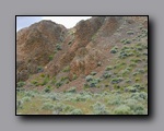 Click to enlarge 2005-06_dsurv_highrock_22.jpg