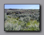 Click to enlarge 2005-06_dsurv_highrock_34.jpg