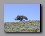 Click to enlarge 2005-06_dsurv_highrock_38.jpg