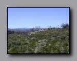 Click to enlarge 2005-06_dsurv_highrock_39.jpg