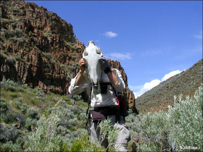 2005-06_dsurv_highrock_78.jpg