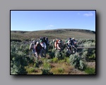 Click to enlarge 2005-06_dsurv_highrock_68.jpg