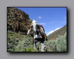 Click to enlarge 2005-06_dsurv_highrock_78.jpg