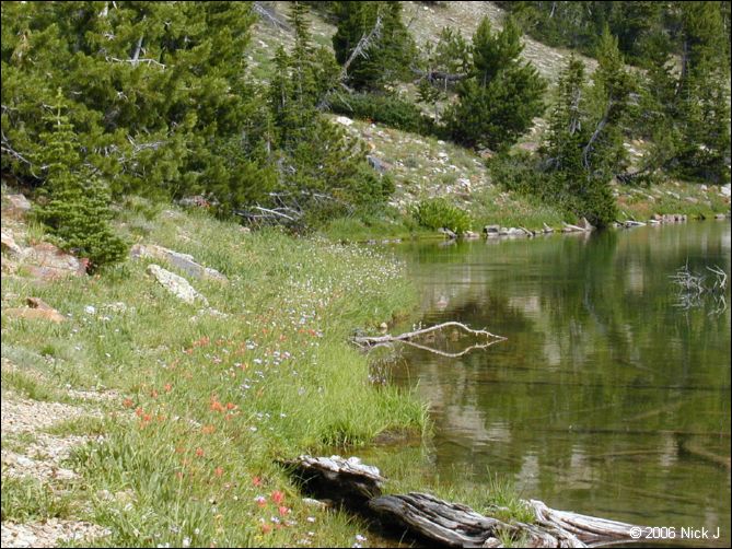 jarbidge_2006-07_nj_019.jpg