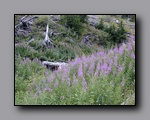 Click to enlarge jarbidge_2006-07_nj_128.jpg