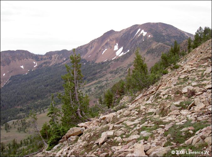 jarbidge_2006-07_lw_010.jpg