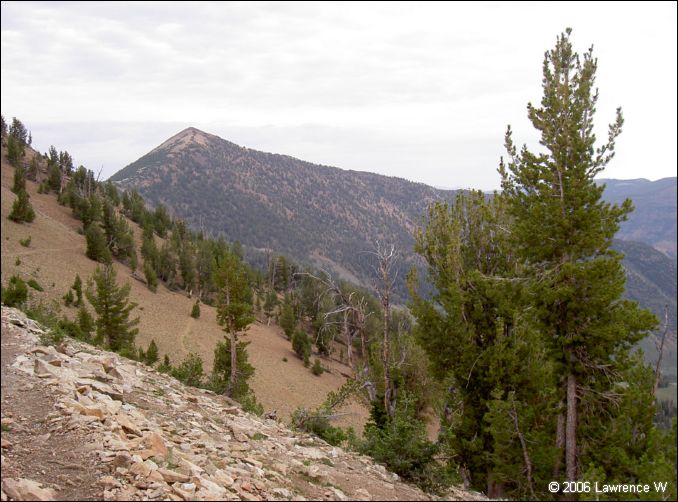 jarbidge_2006-07_lw_011.jpg