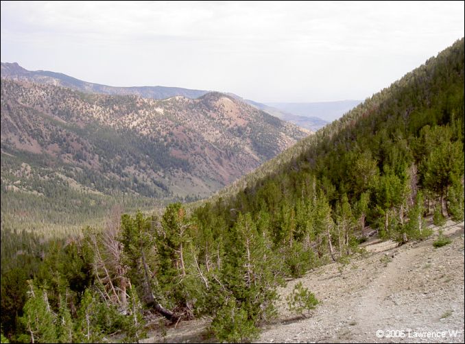 jarbidge_2006-07_lw_021.jpg