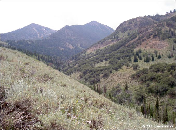 jarbidge_2006-07_lw_029.jpg