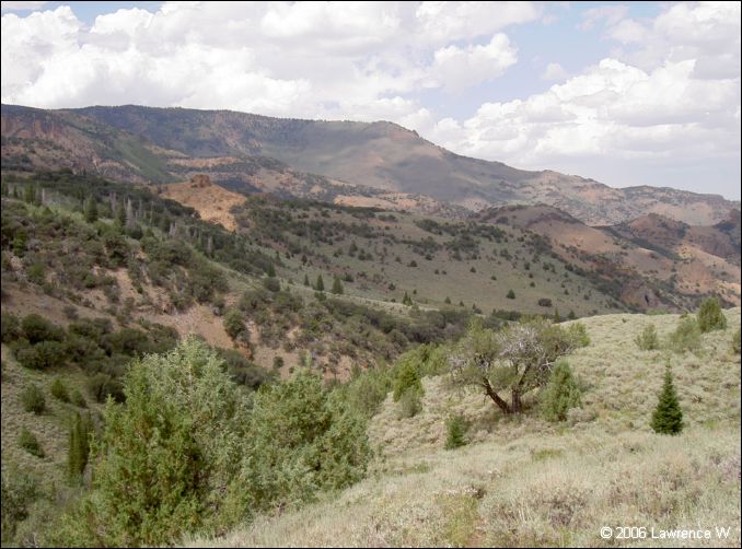jarbidge_2006-07_lw_031.jpg