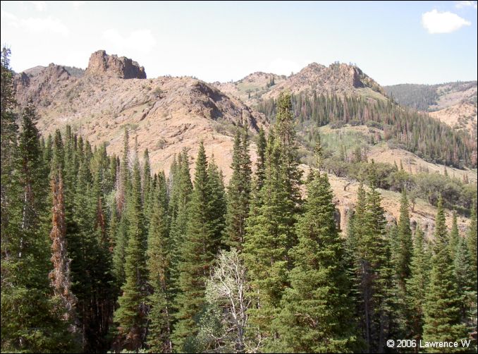 jarbidge_2006-07_lw_044.jpg