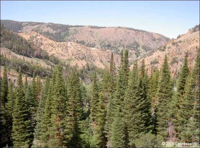 jarbidge_2006-07_lw_045.jpg