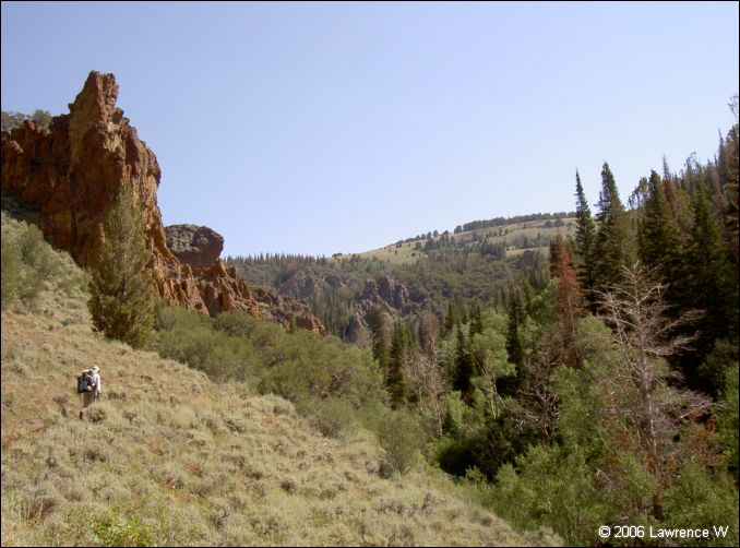 jarbidge_2006-07_lw_046.jpg