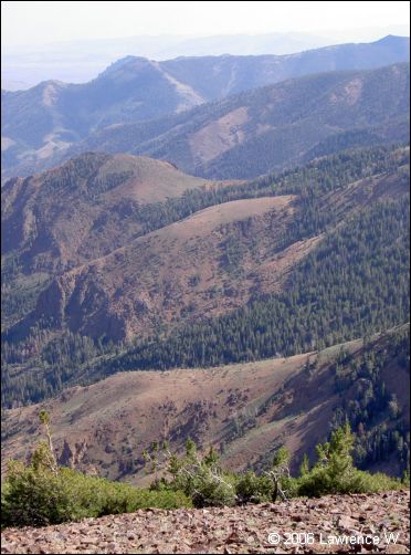 jarbidge_2006-07_lw_077.jpg