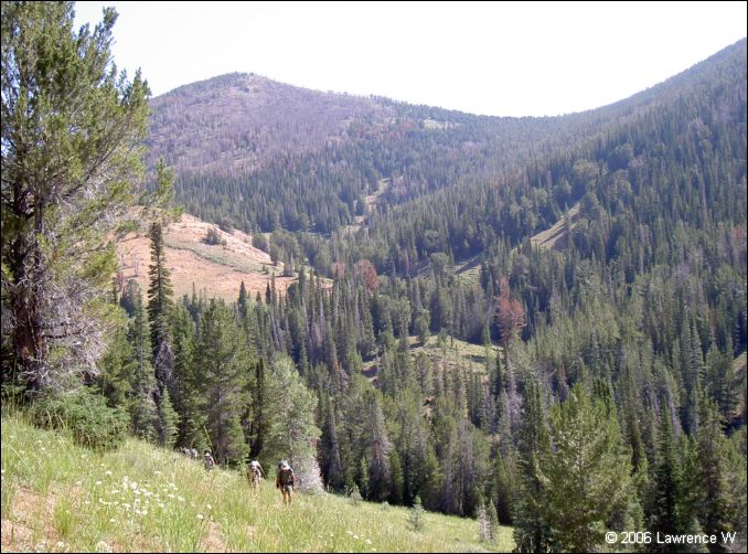 jarbidge_2006-07_lw_084.jpg