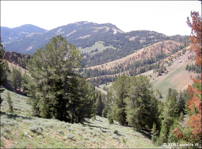 jarbidge_2006-07_lw_086.jpg