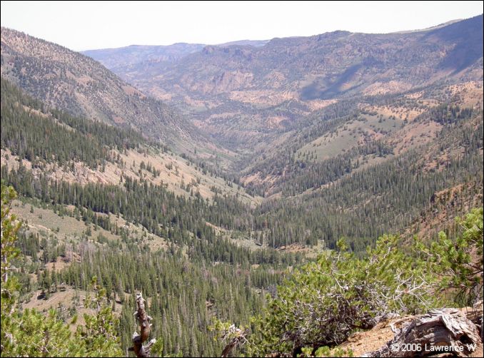jarbidge_2006-07_lw_088.jpg