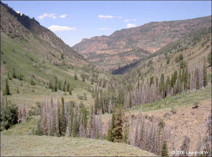 jarbidge_2006-07_lw_092.jpg