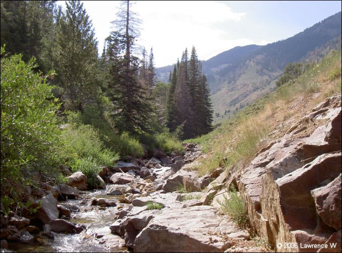 jarbidge_2006-07_lw_095.jpg