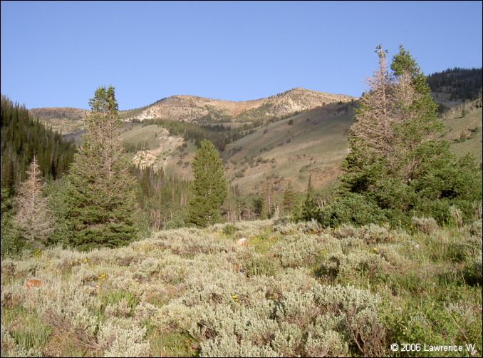 jarbidge_2006-07_lw_099.jpg