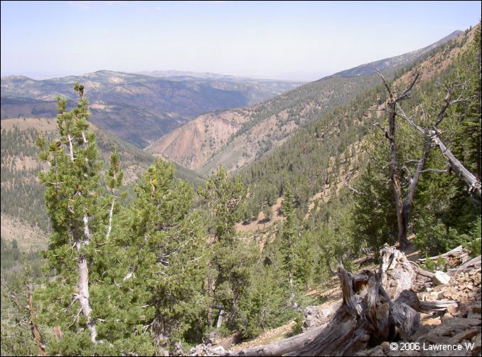jarbidge_2006-07_lw_106.jpg