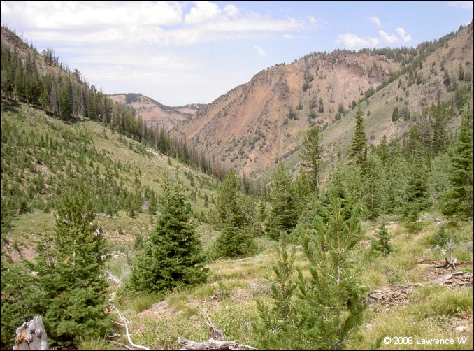 jarbidge_2006-07_lw_110.jpg