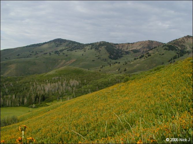 jarbidge_2006-07_nj_002.jpg