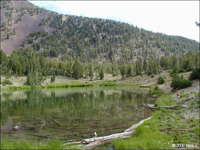 jarbidge_2006-07_nj_020.jpg