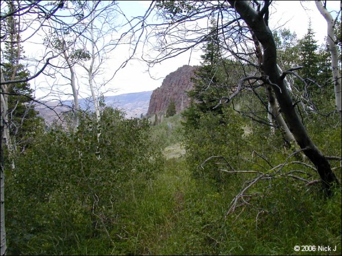 jarbidge_2006-07_nj_031.jpg