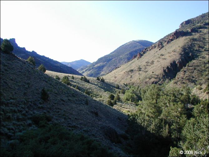 jarbidge_2006-07_nj_041.jpg