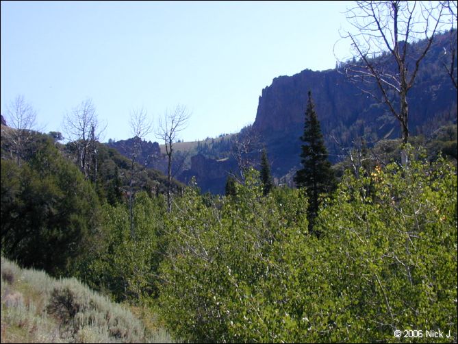 jarbidge_2006-07_nj_050.jpg