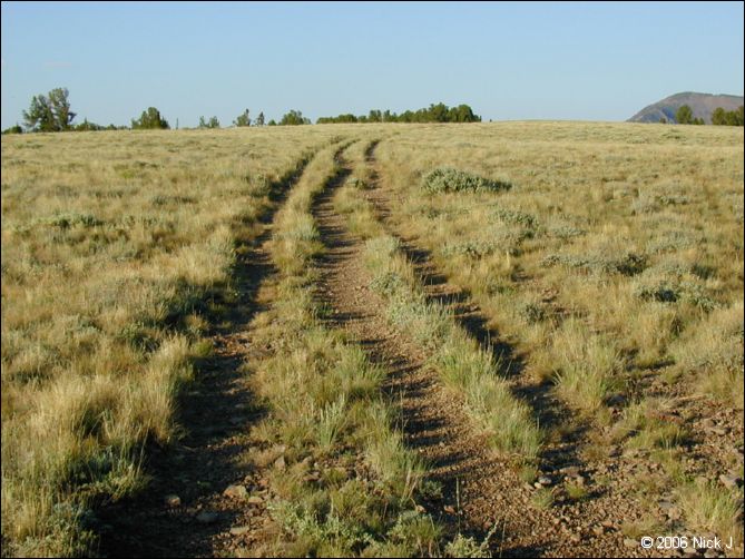 jarbidge_2006-07_nj_068.jpg