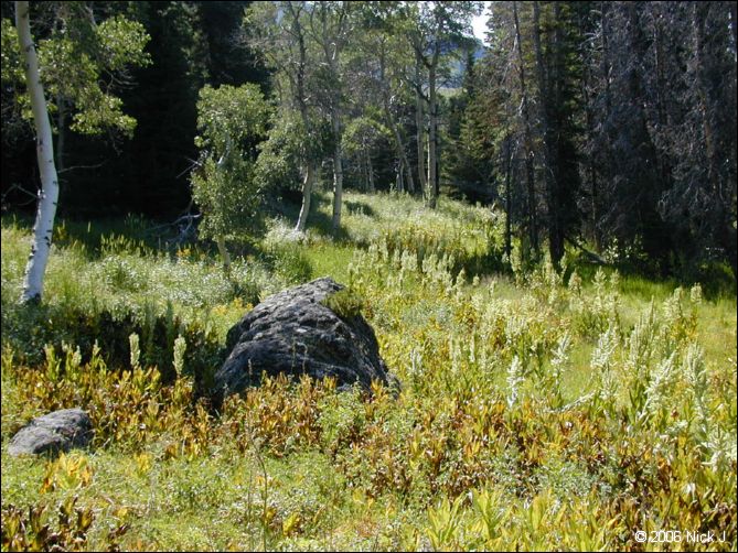 jarbidge_2006-07_nj_083.jpg
