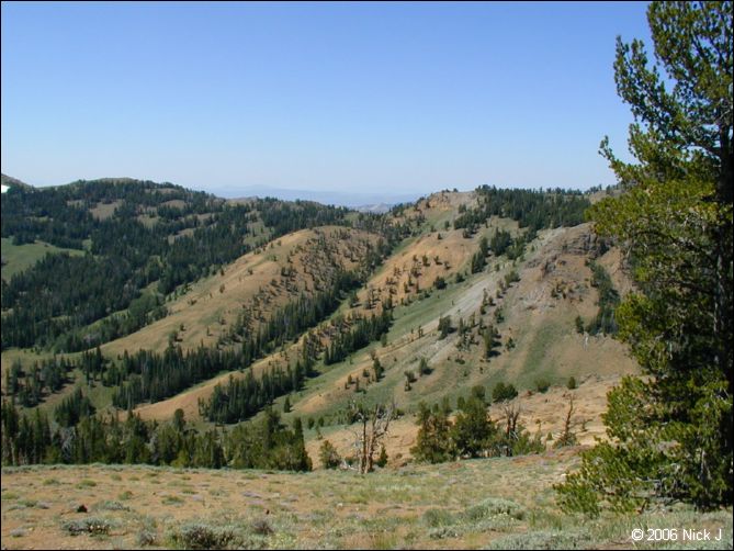 jarbidge_2006-07_nj_114.jpg