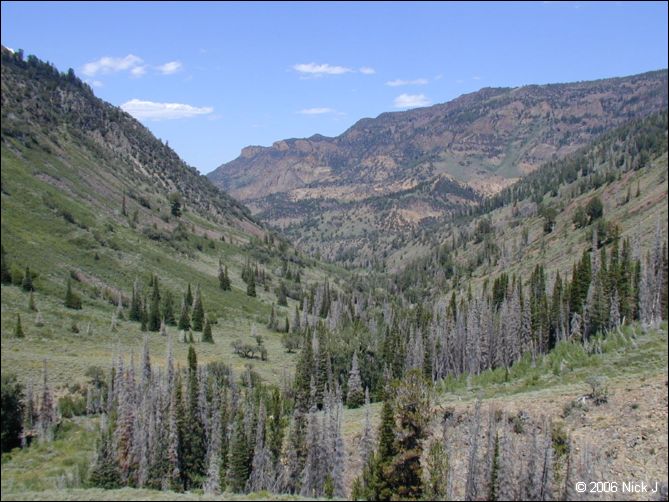 jarbidge_2006-07_nj_115.jpg